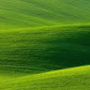 Meet your Posher, Dwanye